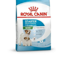Royal Canin Mini Starter Yavru Kuru Köpek Maması 4 Kg